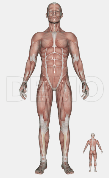 Image for scoodastanging